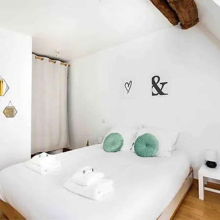 Apartment Promo! Spacious Apt In The Famous Latin Quarter! Paris